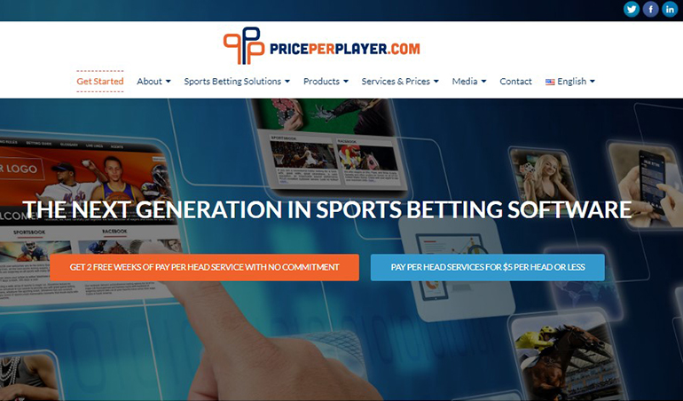 PricePerPlayer.com Sports Betting Software Review